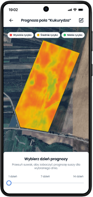 Dwutygodniowa prognoza